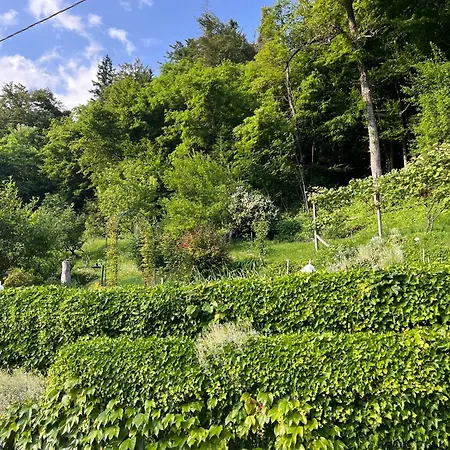 Oaza Narave * Spodnje Gorje