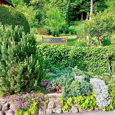 Appartement Oaza Narave Spodnje Gorje