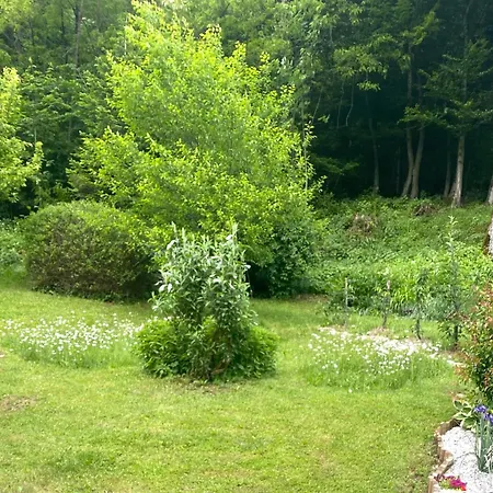Oaza Narave Apartment, Peaceful Retreat Near Bled & Vintgar Apartamento