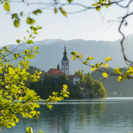 Apartamento Oaza Narave Apartment, Peaceful Retreat Near Bled & Vintgar *