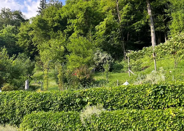 Oaza Narave * Spodnje Gorje